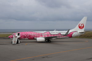 【JAL国内線】先得の取り消し手数料が無料の場合あり!!