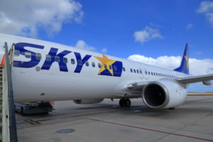スカイマーク「たす得.いま得.SKYセール」の違いを解説～